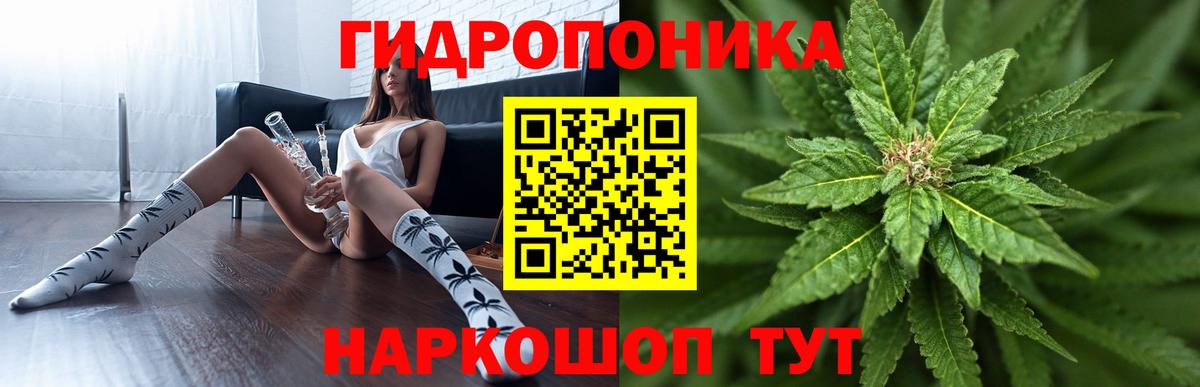 Когалым  Бошки марихуана семена  Марихуана семена  Вход с VPN  Марихуана Ganja 